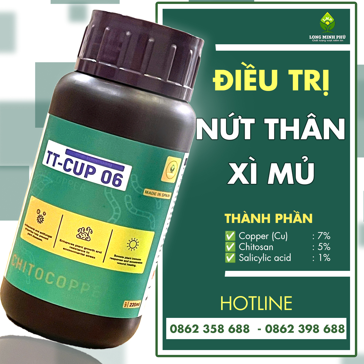 NỨT THÂN XÌ MỦ CÂY SẦU RIÊNG
