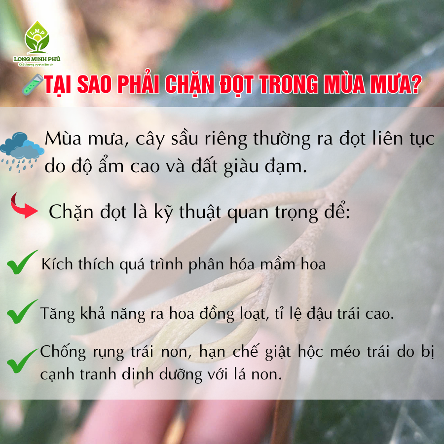 CHẶN ĐỌT TRONG MÙA MƯA