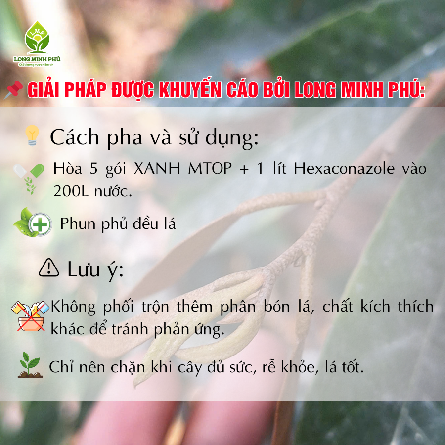 CHẶN ĐỌT TRONG MÙA MƯA