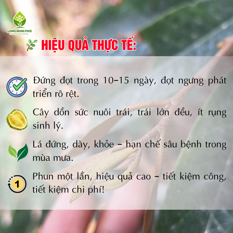 CHẶN ĐỌT TRONG MÙA MƯA
