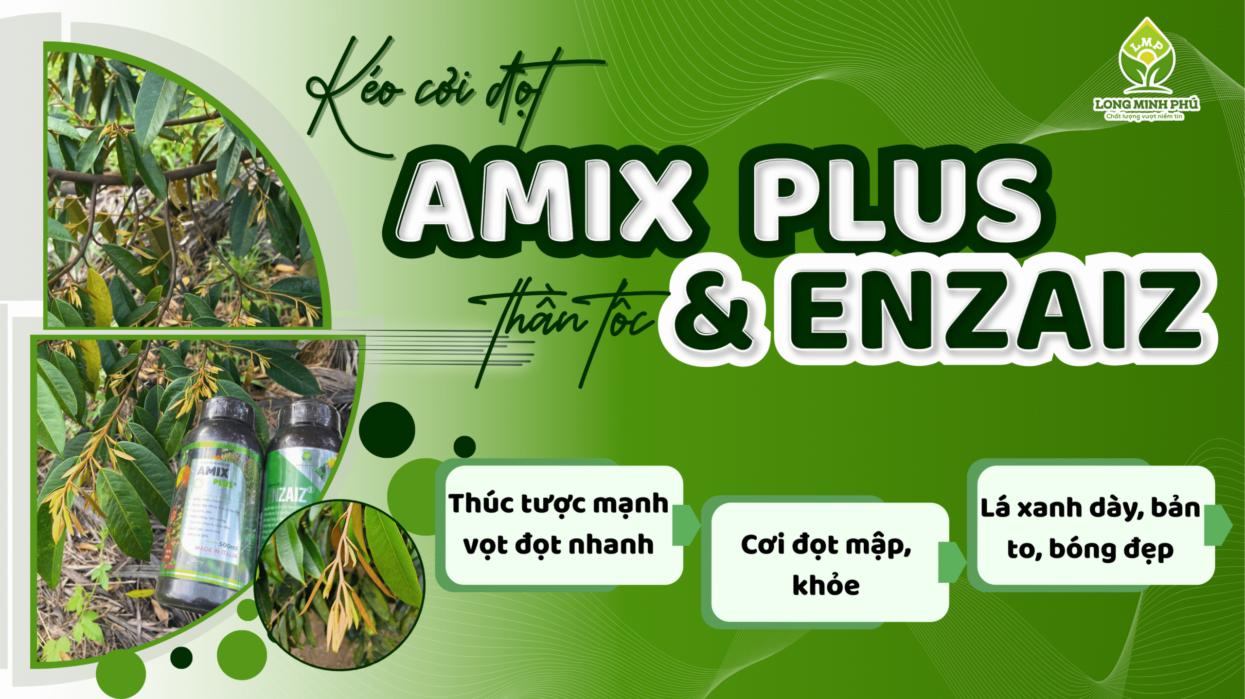 KÉO ĐỌT SẦU RIÊNG
