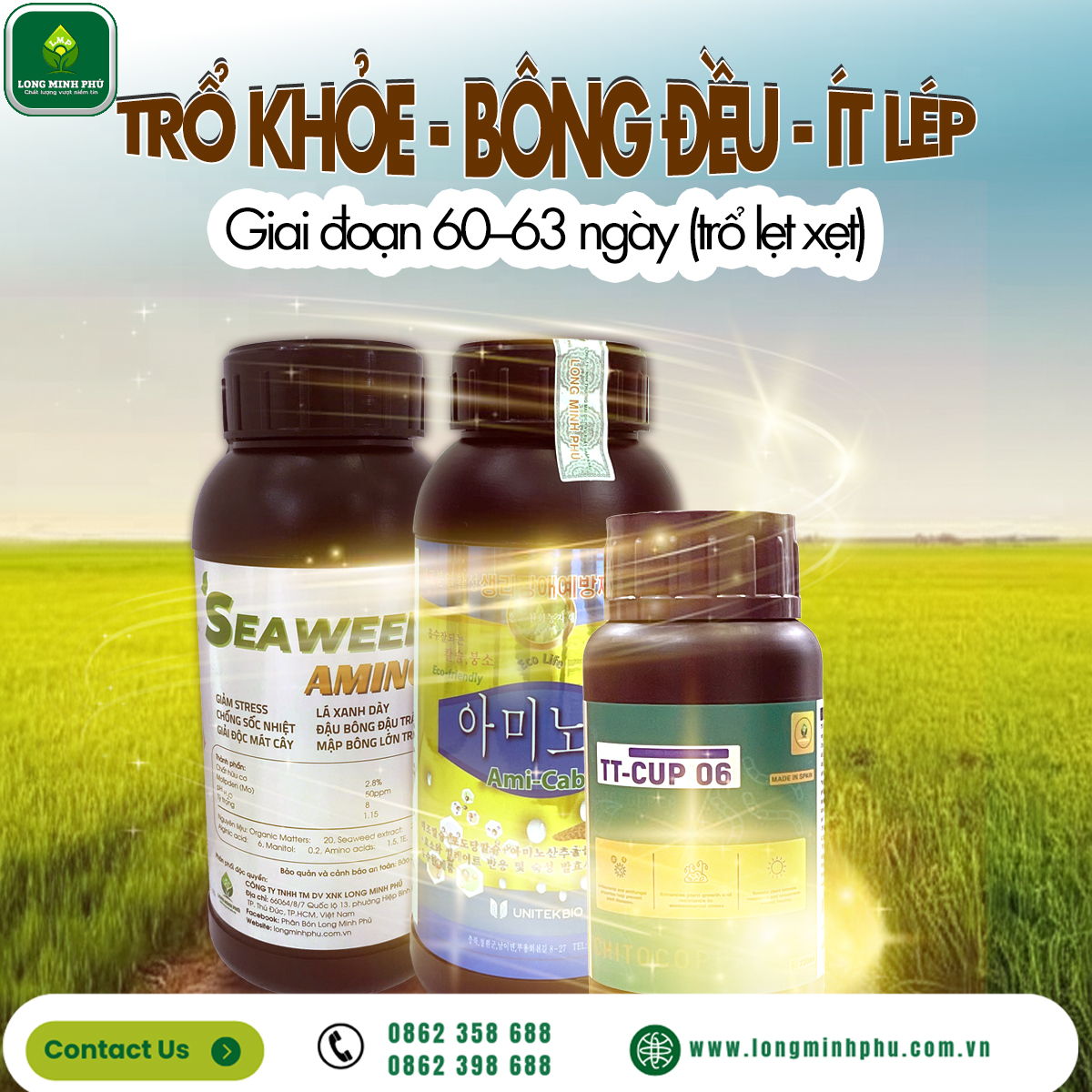 CHĂM SÓC LÚA GIAI ĐOẠN LÀM ĐÒNG