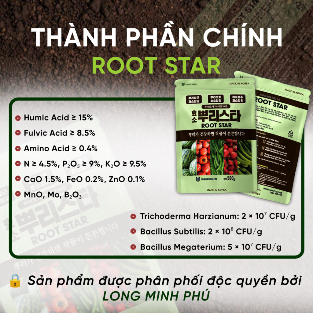 XỬ LÝ RUỘNG LÚA SAU THU HOẠCH