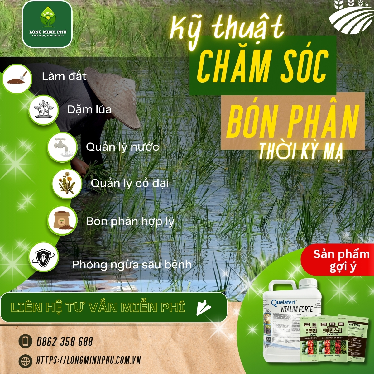 KỸ THUẬT CHĂM SÓC VÀ BÓN PHÂN GIAI ĐOẠN MẠ