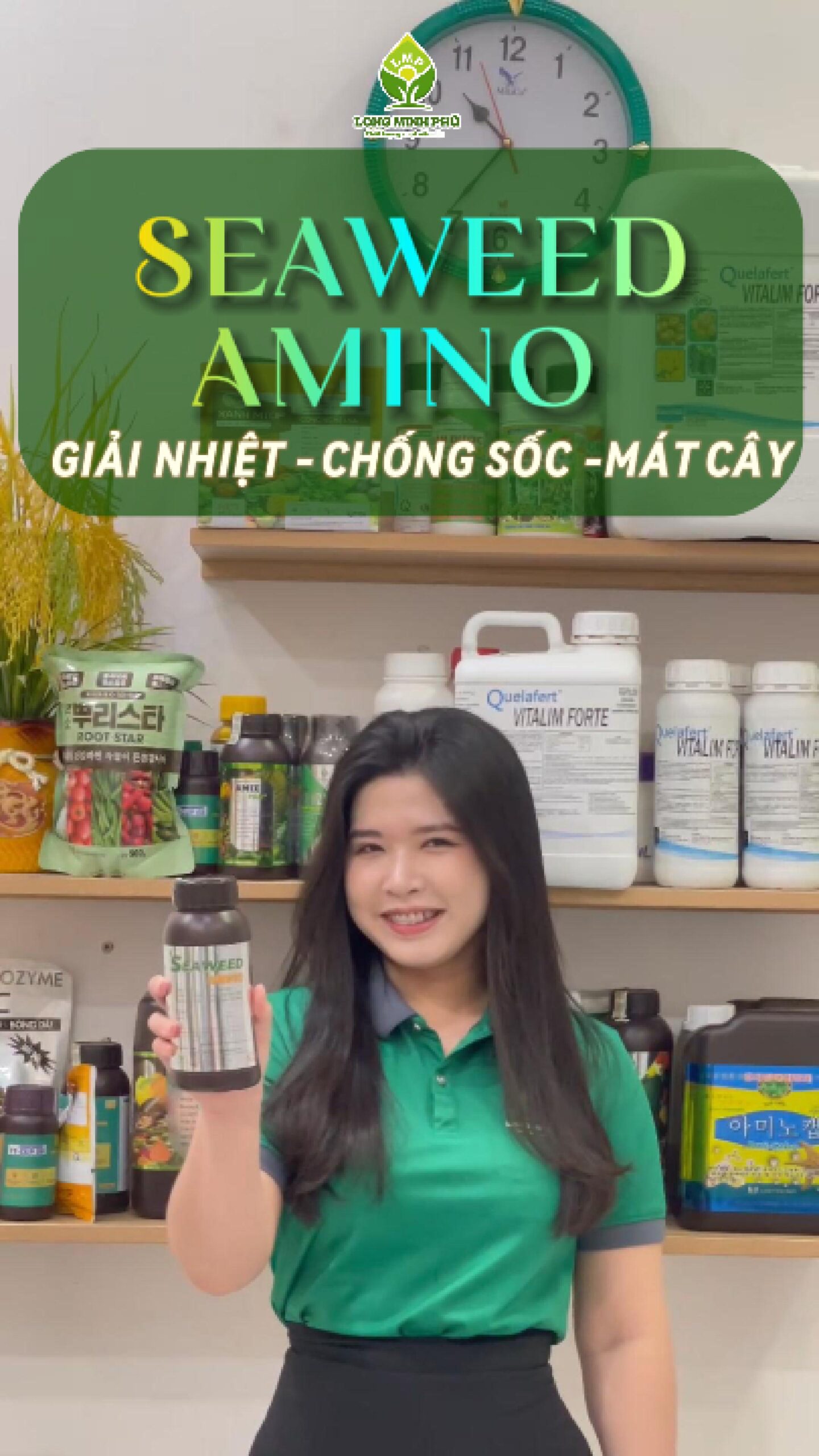 SẦU RIÊNG SỐC NHIỆT