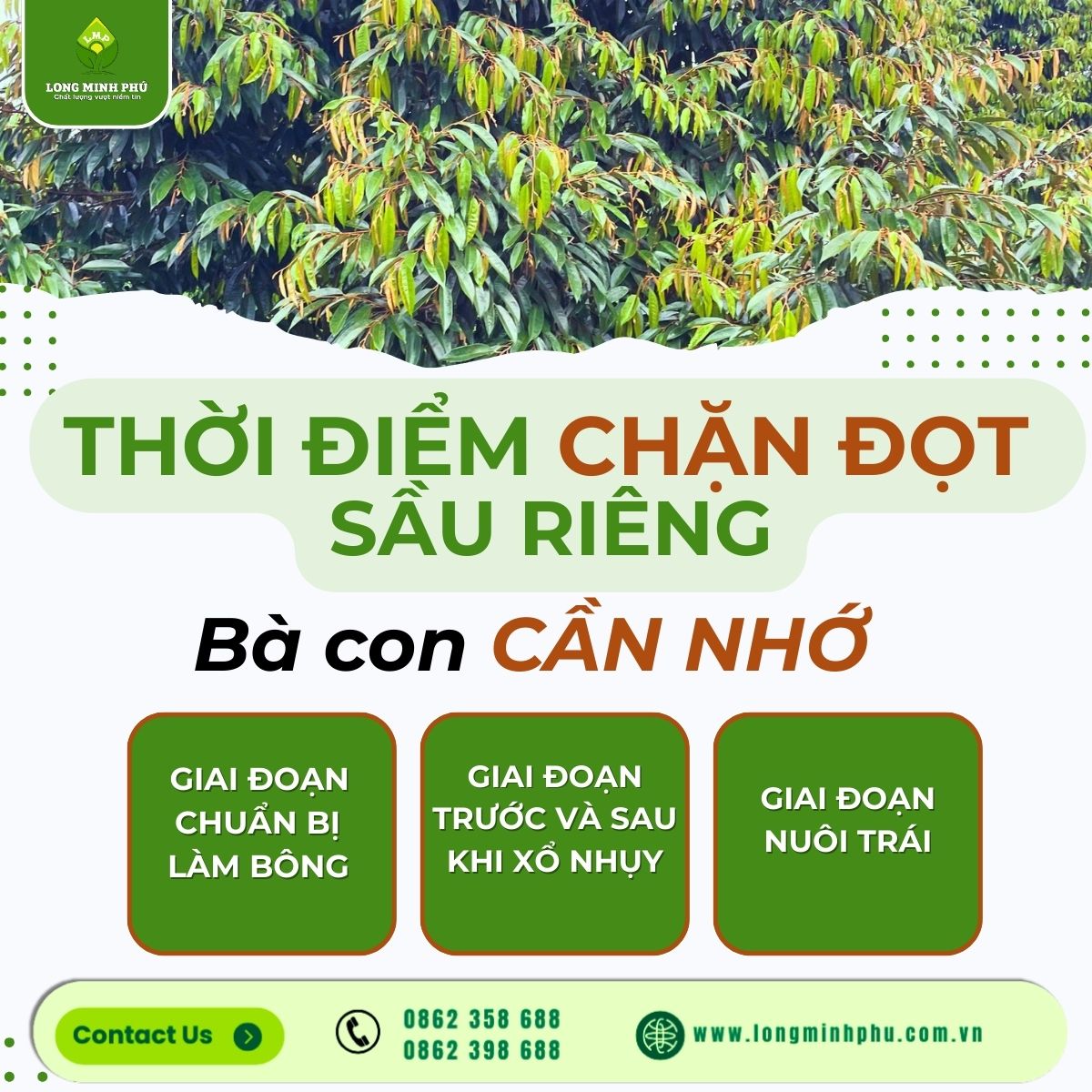 CHẶN ĐỌT SẦU RIÊNG