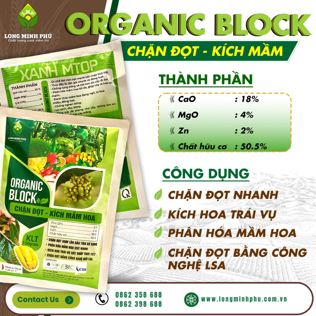 CHẶN ĐỌT SẦU RIÊNG