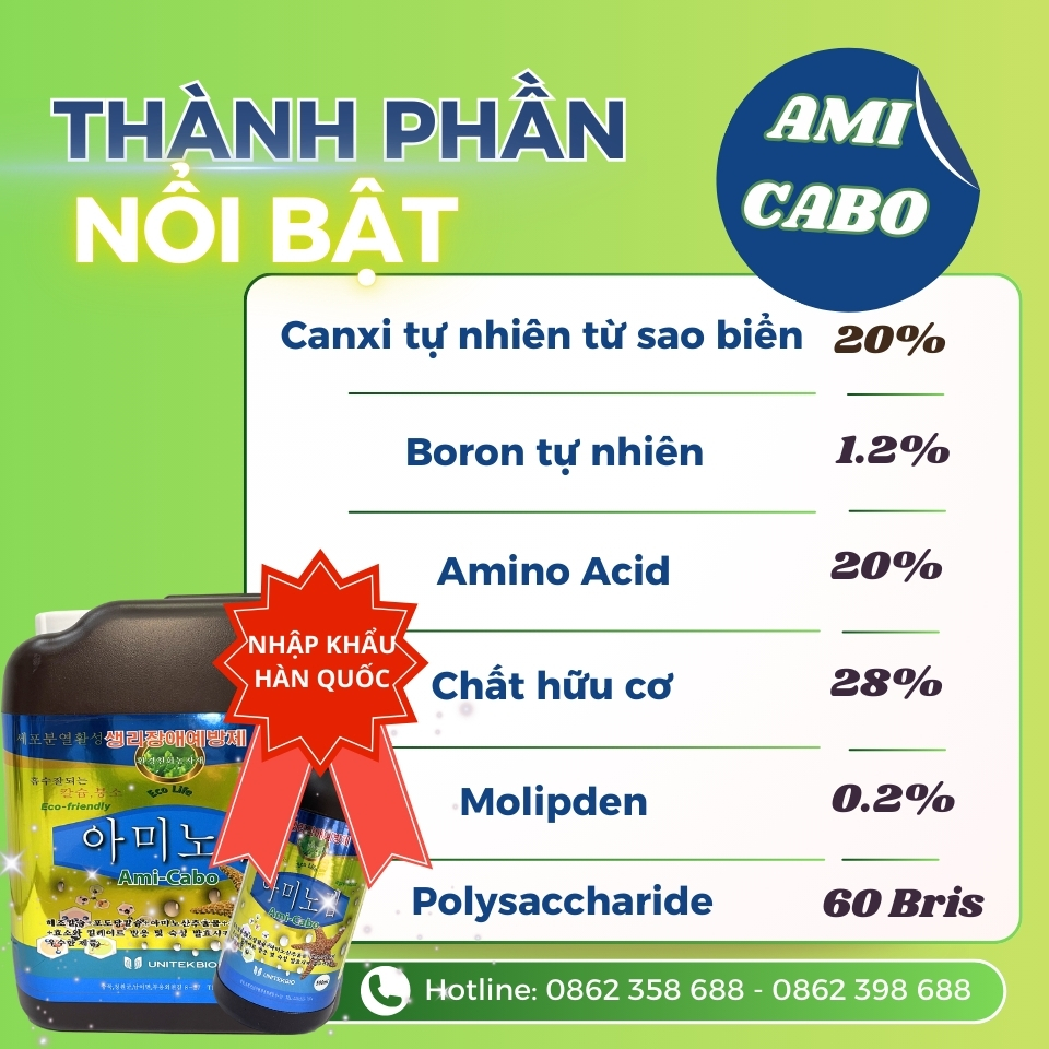 CHỐNG RỤNG BÔNG – RỤNG TRÁI NON CẤP TỐC