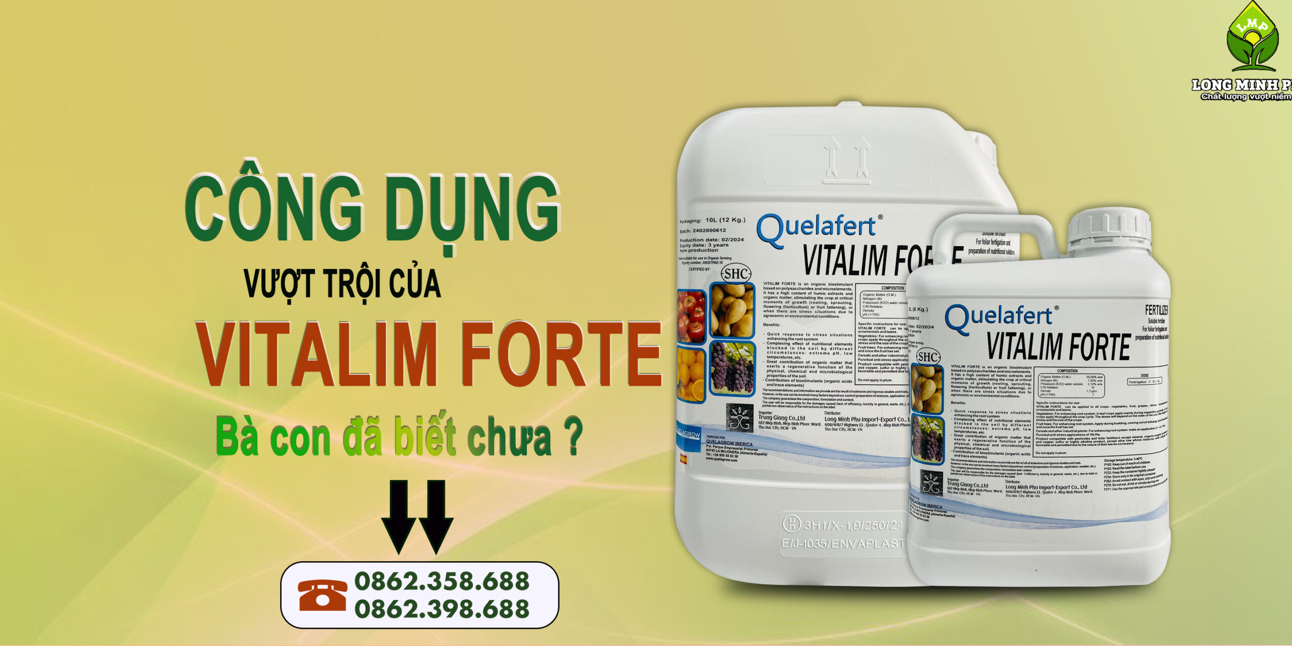 CÔNG DỤNG VƯỢT TRỘI CỦA VITALIM FORTE