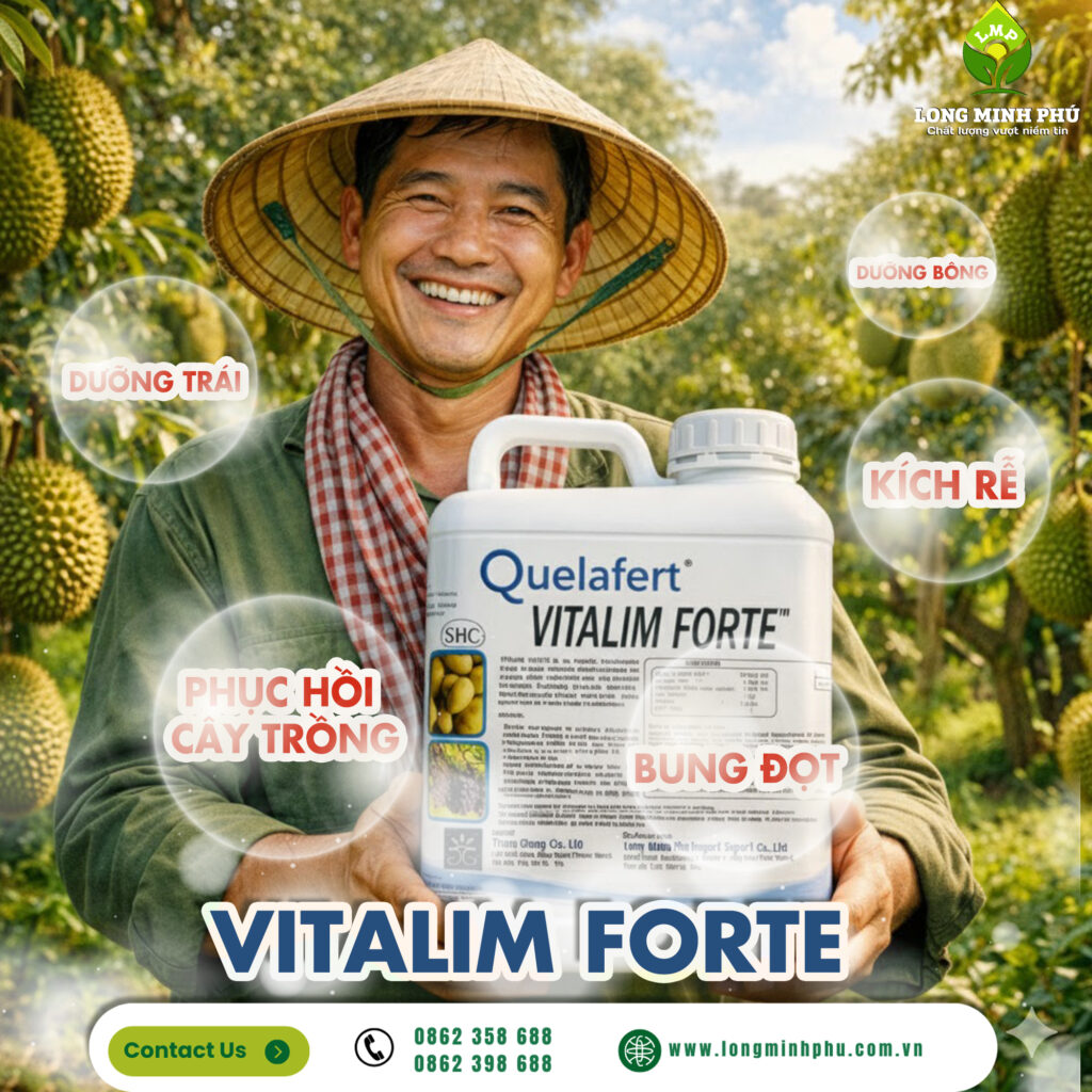CÔNG DỤNG VƯỢT TRỘI CỦA VITALIM FORTE
