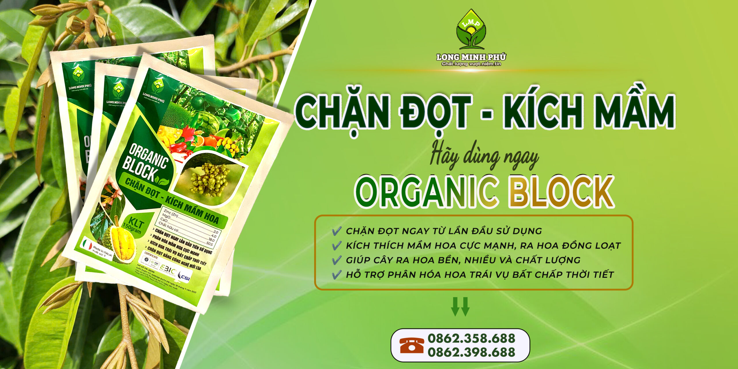 CHẶN ĐỌT, KÍCH MẦM HOA