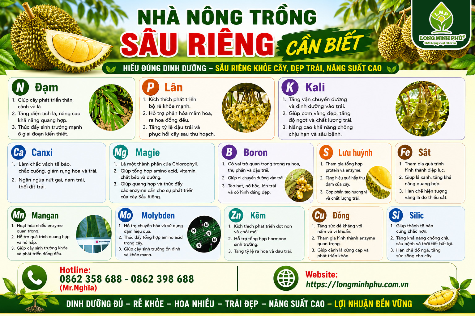 SẦU RIÊNG